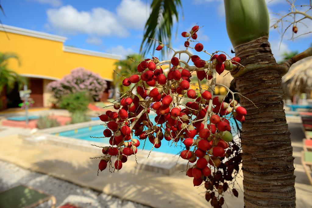 Djambo (Adults Only) Apartment Playa Exterior foto